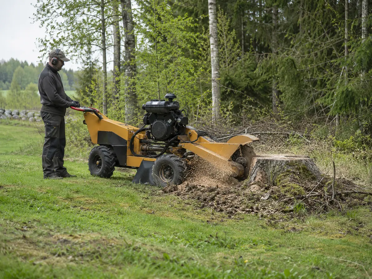 Stubbfräsning vid skogsbryn
